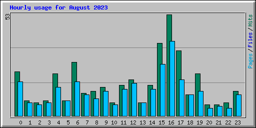 Hourly usage for August 2023