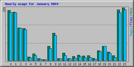 Hourly usage for January 2024